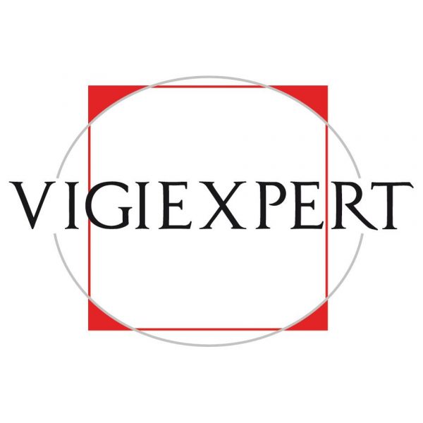 VIGIEXPERT offers you a healthy partnership, based on respect and honesty.