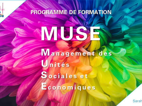 MUSE – decision-making training cycle